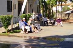 OLYMPUS DIGITAL CAMERA