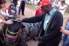 OLYMPUS DIGITAL CAMERA